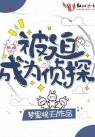 被迫成为侦探挂件的日子 反派二姐