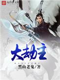 大劫主TXT奇书网